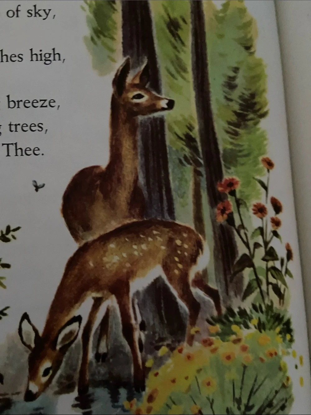 Vintage 1950s 50s 1st edition Cowboy Western horse horses Prayer Children Book